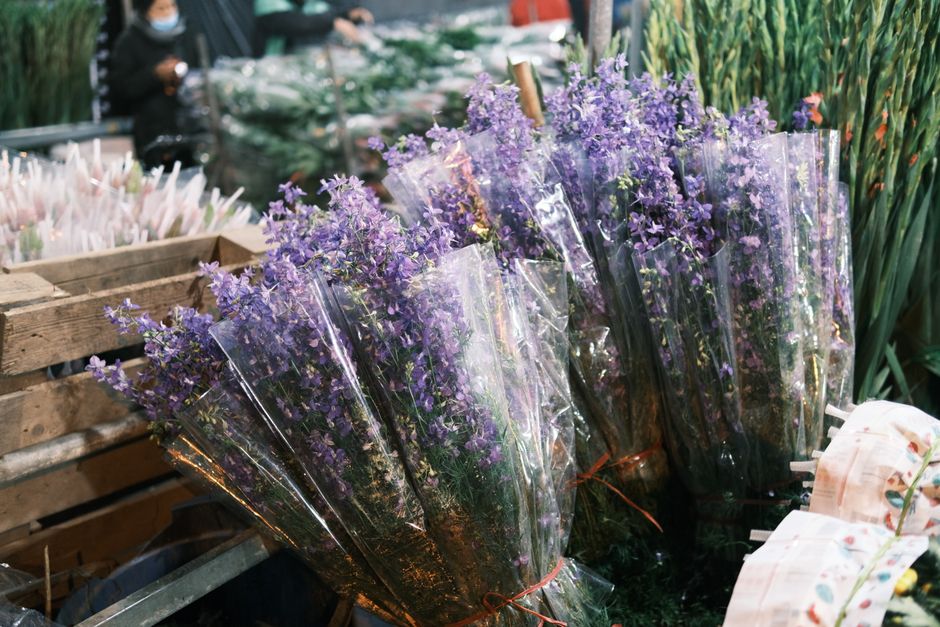 A display of fresh lavender bouquet arrangements wrapped in clear plastic, positioned upright and leaning against each other at Greenwich Florist. The lavender flowers are vibrant purple with delicate