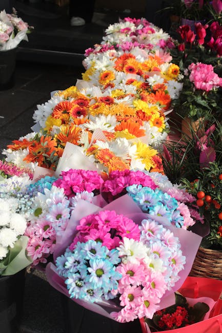 A vibrant display of flower bouquets arranged with a variety of fresh daisies in shades of pink, white, blue, yellow, orange, and red. The bouquets are wrapped in pastel-colored tissue paper and posit