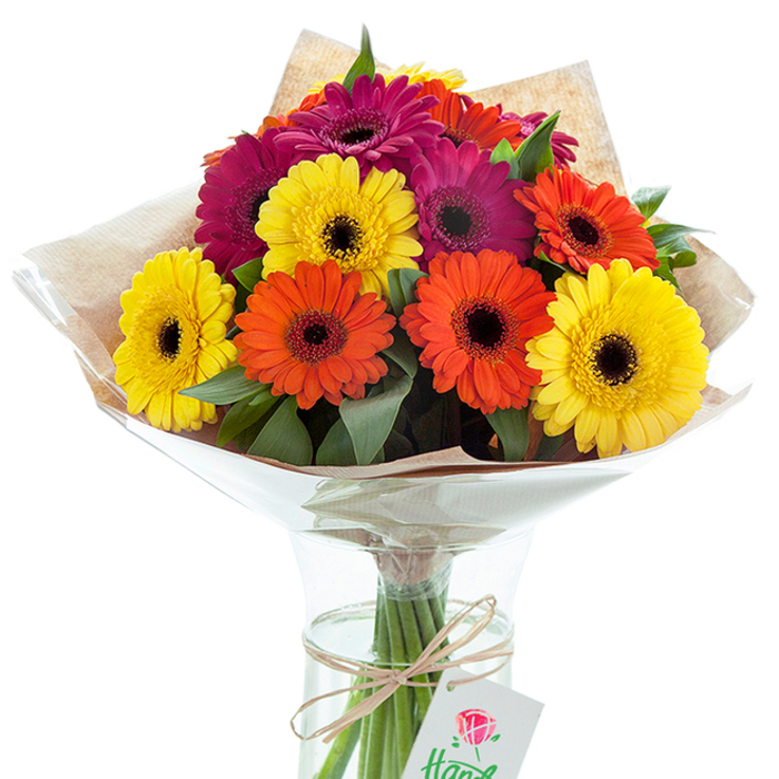 A jubilant bouquet of multi-coloured Gerbera daisies is showcased in a simple, elegant glass vase, embodying the uplifting spirit of Greenwich with every petal. Lustrous blooms in sunlit yellow, vivid tangerine, and deep magenta are clustered together, each daisy featuring a prominent, inky-black centre that draws the eye and provides a rich focal point. Lush, vibrant greenery winds through the bouquet, providing structure and contrast. Carefully wrapped in rustic kraft paper reminiscent of Greenwich Market's artisan stalls, the arrangement is further enclosed in a glistening cellophane cone, which adds protection and a touch of celebratory finesse. The vase itself, crystal-clear and gently curved, reveals the neatly trimmed stems submerged in water, ensuring maximum freshness for days. A piece of rough-textured, natural twine secures a modest white tag featuring a hand-drawn red rose, a quiet nod to true florist artistry. Flooded with gentle, refined lighting, the bouquet's colours sing with the vibrancy of riverside walks near the O2, making it perfect for commemorating birthdays, anniversaries, or as a thoughtful gesture for someone in Greenwich. The whole display radiates comfort and happiness-a testament to care and the enduring beauty of expertly crafted flowers.